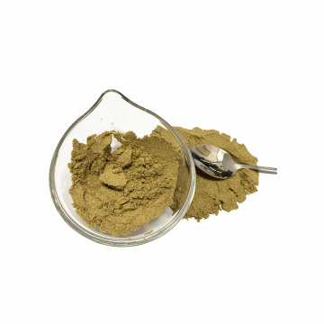 Top Quality 100% Natural Cumin Seeds Powder