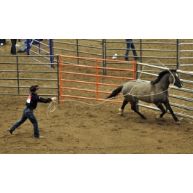 Horse Farm Popular Steel Carral Fence