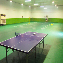 Ping-pang game use ball court flooring