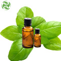 OEM ODM 100% Pure Therapeutic Grade Essential Basil oil bulk price