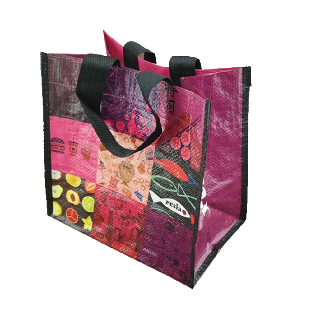 Eco-Friendly Cheap Promotional Shopping Rafia Non Woven Bag