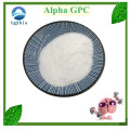 High Purity 99% Alpha GPC for Nootropic Supplement