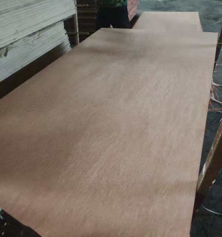 24mm Okoume Plywood 3