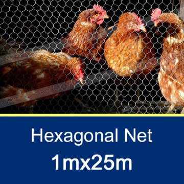 3/4" Poultry Hexagonal Wire Mesh 1x25m