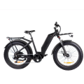 Bicicleta elétrica MTB com motor traseiro de 24 polegadas 48v 500w