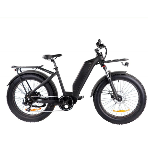 Bicicleta eléctrica de aleación MTB con motor trasero de 24 pulgadas 48v 500w