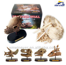 Lg. Dino Skull w/wooden base, 4 assorted.