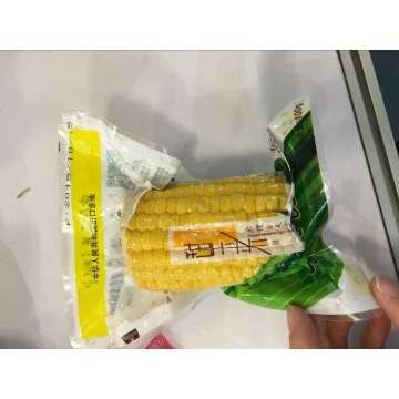 Jagung manis Segar Kualitas Baik