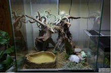 SHANDA aquarium accessories Aquarium Natural Roo