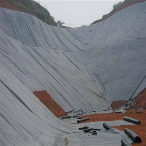 Matériaux imperméables HDPE LDPE LLDPE Geomembrane Pond Douleur