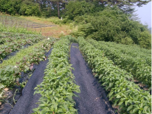 High quality 100% HDPE balcony sun shade net/cloth