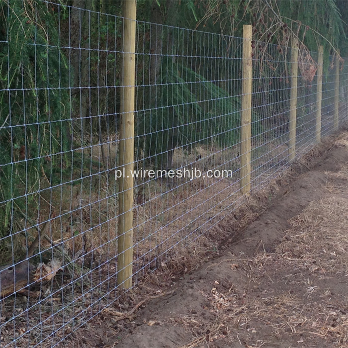 Galwanizowana sieć drutów Kraal