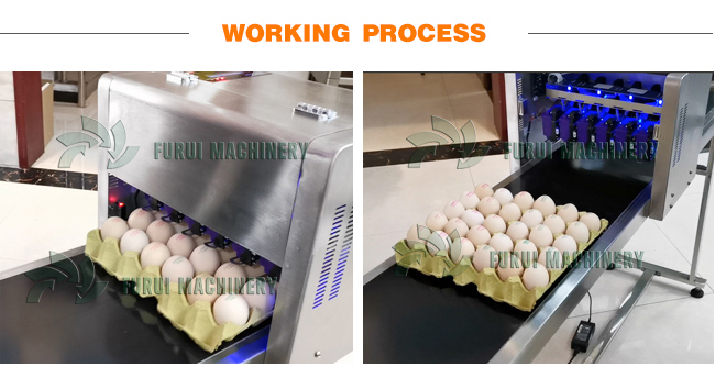 High speed egg inkjet printer machine/egg code printing machine/hen egg branding machine