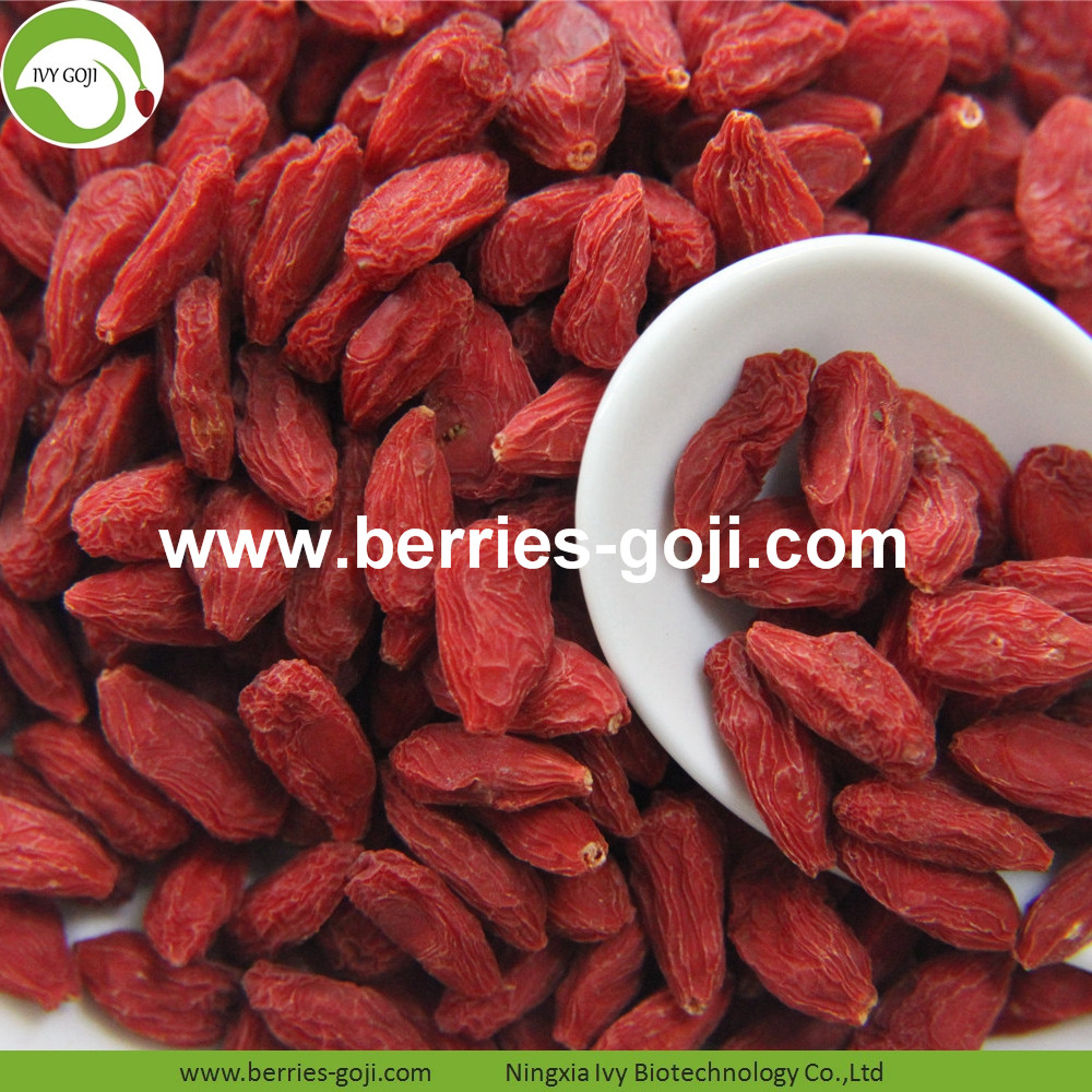 Goji-Beeren goji berry
