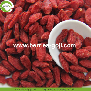 Lose Weight Nutrition Fruit Diet Conventional Goji Berries