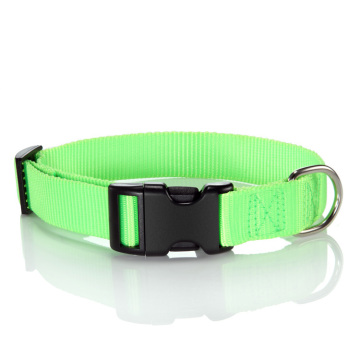 Colorful Nylon Dog Collar