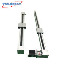 ENB80 100mm European Gantry Robot Arm with Belt-Driven Linear Slides: High Precision Linear Stage Solutions