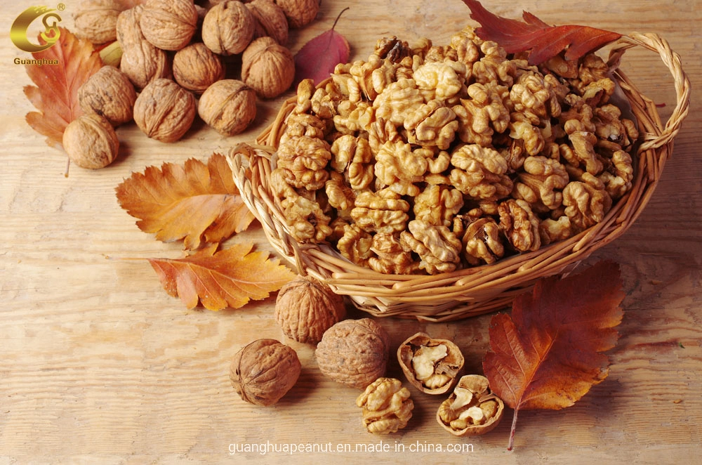 Nutrient-Rich Chinese New Crop Walnut Kernels