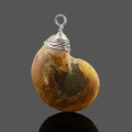 Natural Crystal Fossil Shell Snail Pendant Necklace Energy Stone Healing Divination Necklaces for Home Decoration Gift Collectio