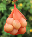 sacchi per imballaggio di frutta in rete a rete in poliestere con uovo