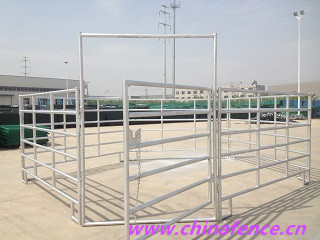 High Quality Horse Fence
