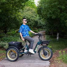 USA Hot Sale: Adult Electric Trikes with Pedal Assist - 25MPH Cargo Trikes for Seniors