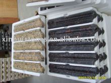 Stone Granite Border