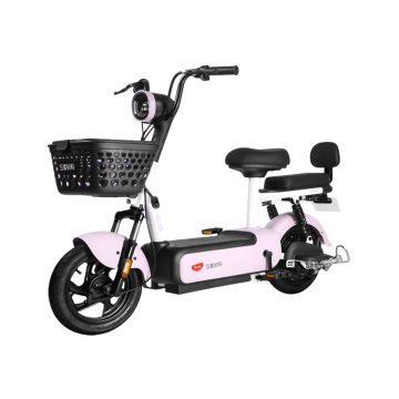 48V20AH of Electric two-wheeler