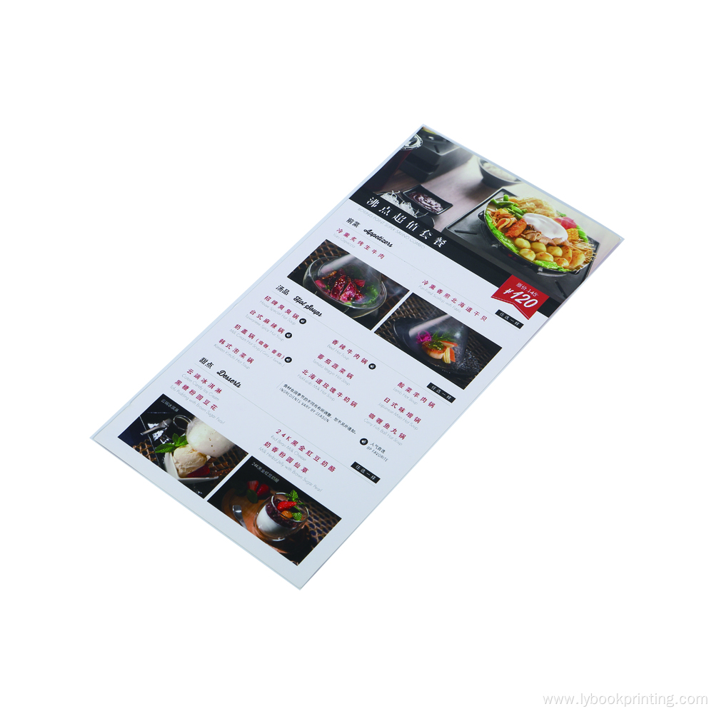 Professional Printing A4 Flyer and Folder