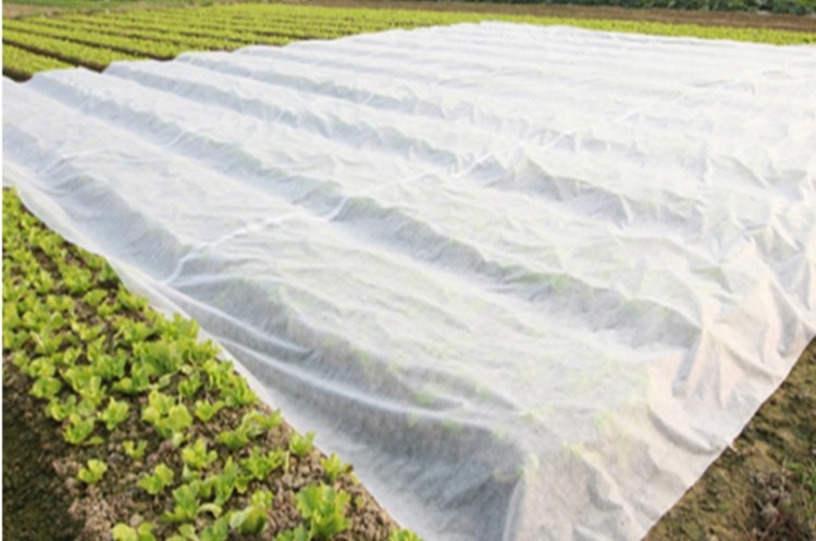 UV-protective agriculture spunbond nonwoven fabric