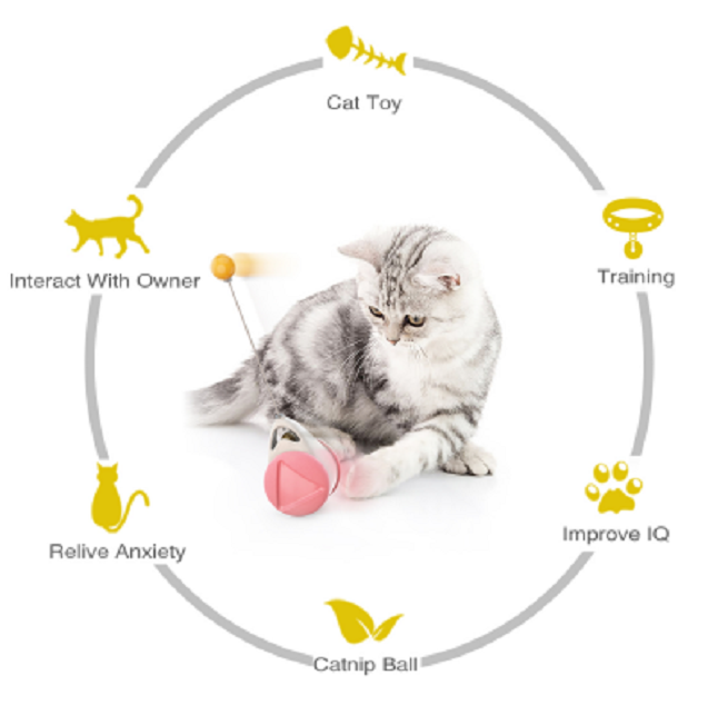 Cat Training Toy Details 1