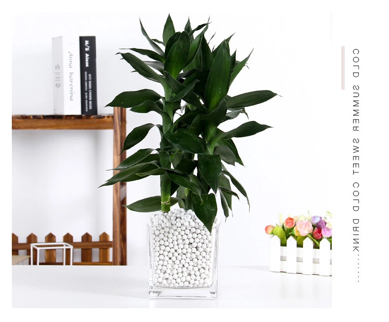 Manufacturers Customize Various Household Clear Glass Vases with Different Specifications