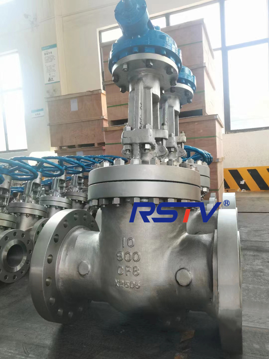 900LB CF8 GATE VALVE