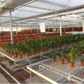 Greenhouse Rolling Bench for seedling nursery