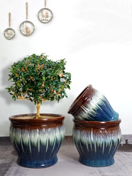 Large Outdoor Ceramic Planters Garden Flower Pots