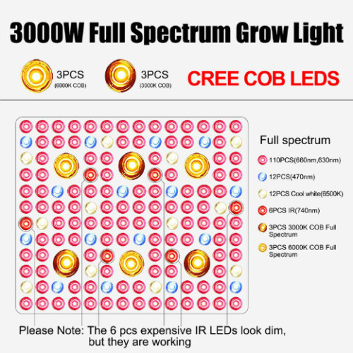 Phlizon COB LED ZWEI LICHT VOLLSTÄNDIGE SPECTRUM