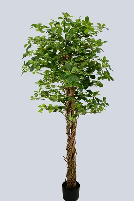 Black Artificial Plant Olive Tree for Decoration (51130)