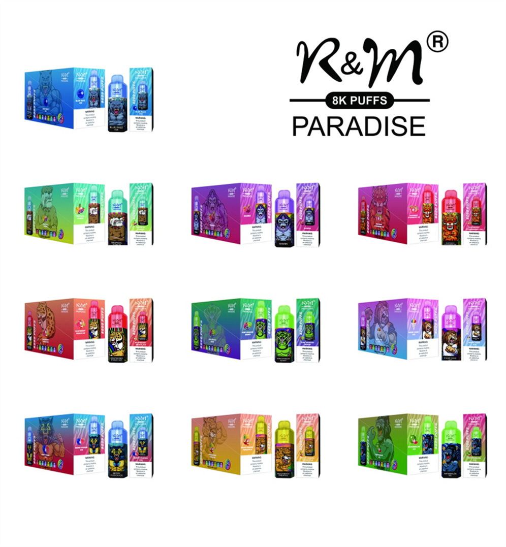 Hochwertiges Einweg -Vape R & M Paradise 8K Vape