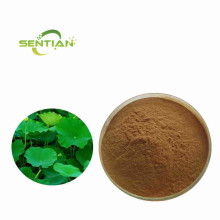 Lotus Leaf Extract powder for Weight Loss