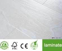Fortune Collection Laminate Floor