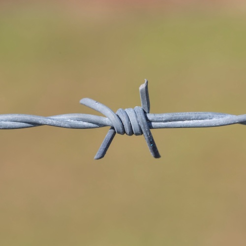 galvanized decorative barbed wire fencing