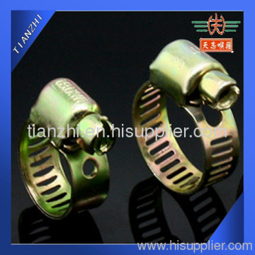 Galvanized Band Hose Clamp?