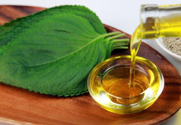 perilla seed oil