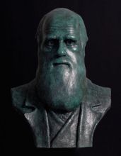 Classical Famous Bronze Charles Darwin Human Bust Sculpture