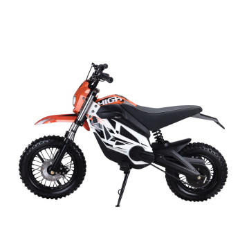 36V 800W Off-Road Electric Scooter & Dirt Bike Motorcycles