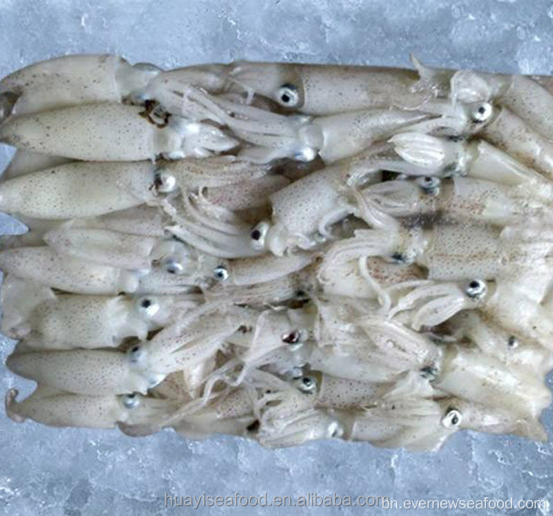 হিমায়িত liligo শিশু স্কুইড