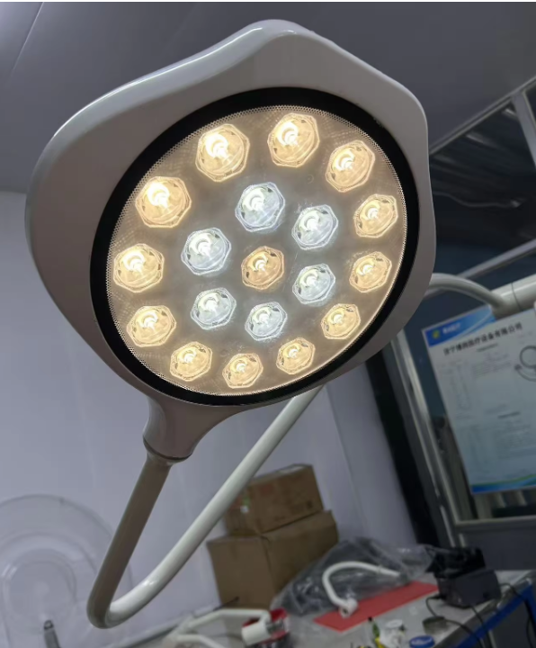 default name default name