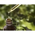 100% Pure Organic high quality Green Tea Oil