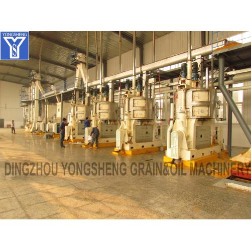 Vegetable Oil Mill Machinery