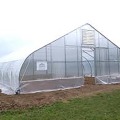 Invernadero gótico de un solo tramo para verduras y flores